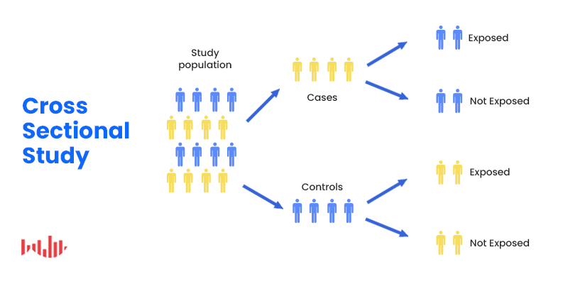 Cross Sectional Study 