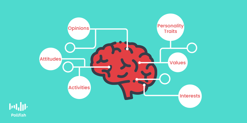 Market segmentation research