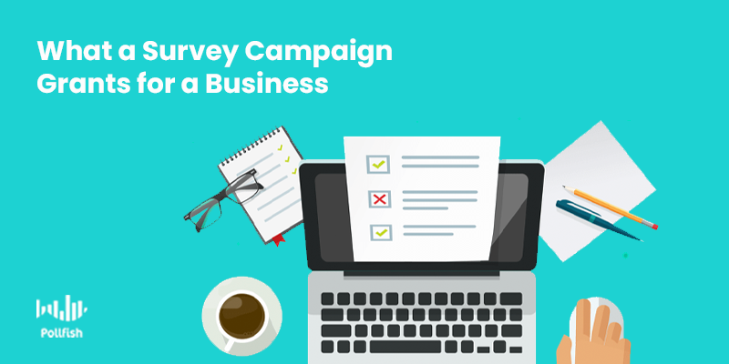 market research survey strategy