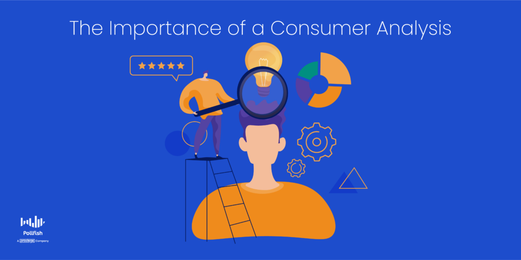 importance of consumer analysis