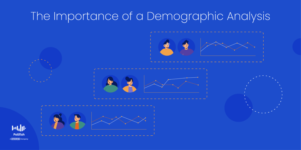 demographic analysis importance