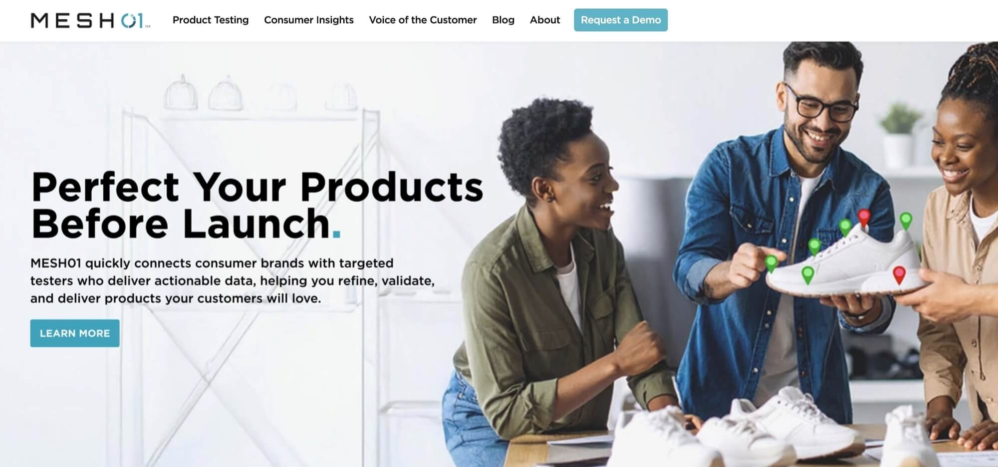 Mesh01 homepage: Perfect Your Products Before Launch